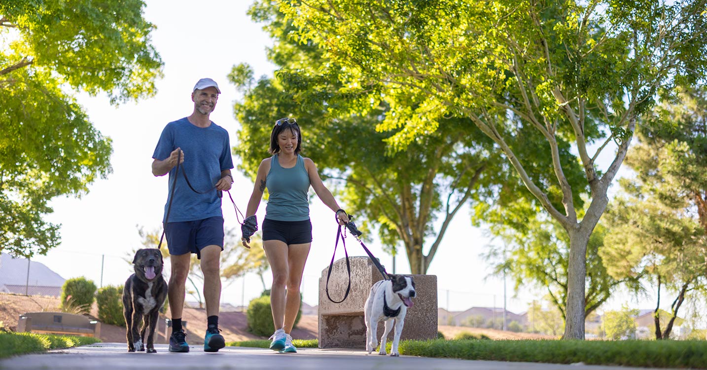 Couple walking dogs